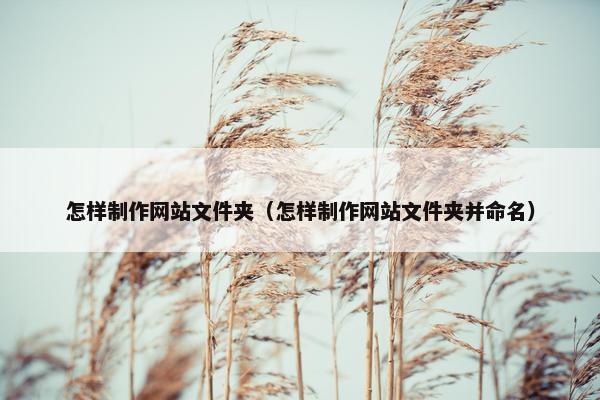 怎样制作网站文件夹（怎样制作网站文件夹并命名）