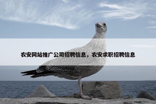 农安网站推广公司招聘信息，农安求职招聘信息