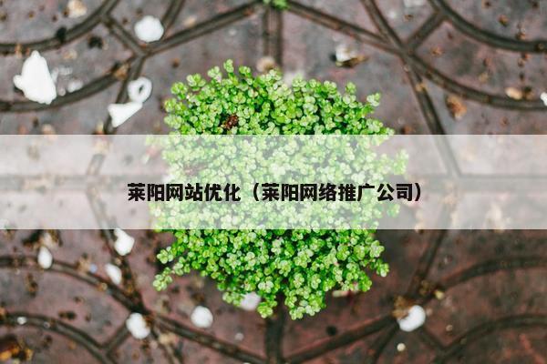 莱阳网站优化（莱阳网络推广公司）