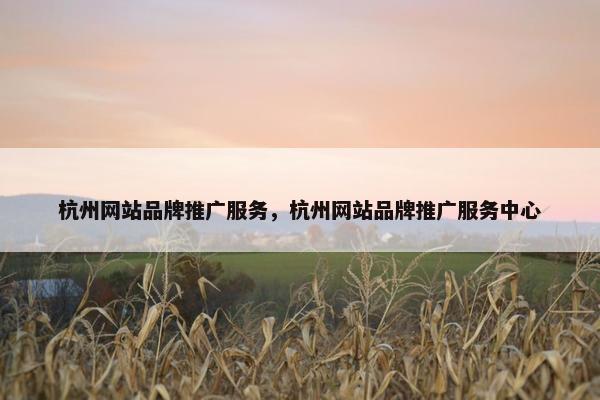 杭州网站品牌推广服务，杭州网站品牌推广服务中心
