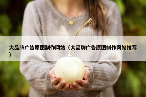 大品牌广告原图制作网站（大品牌广告原图制作网站推荐）