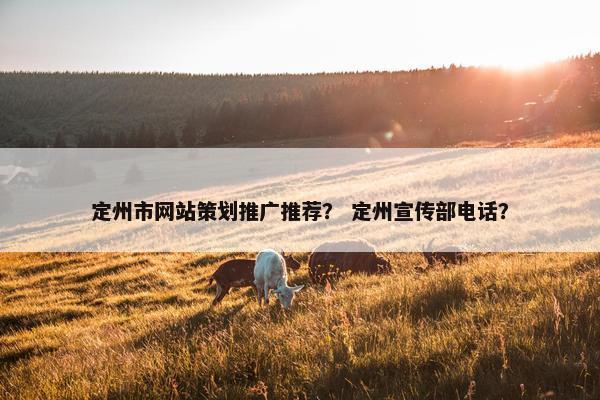 定州市网站策划推广推荐？ 定州宣传部电话？
