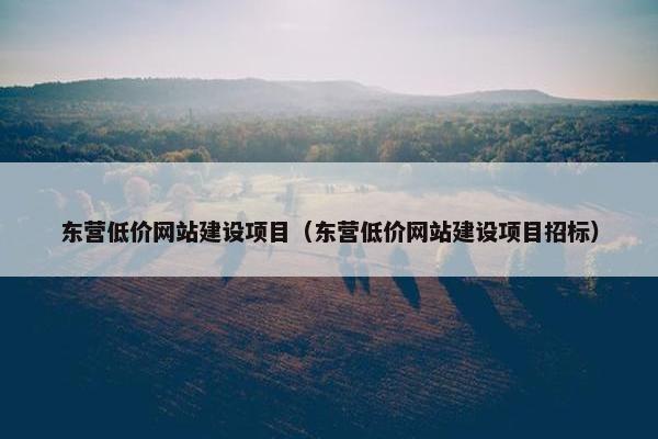 东营低价网站建设项目（东营低价网站建设项目招标）