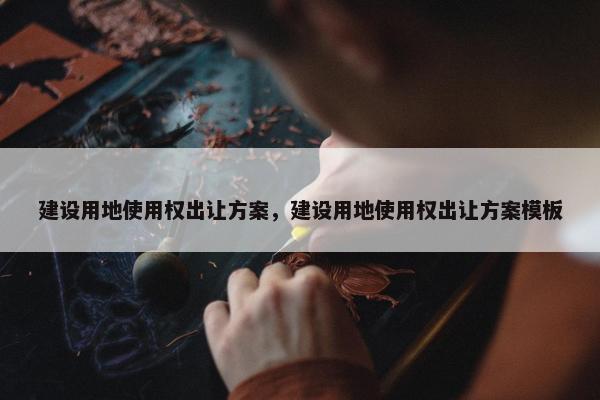 建设用地使用权出让方案，建设用地使用权出让方案模板