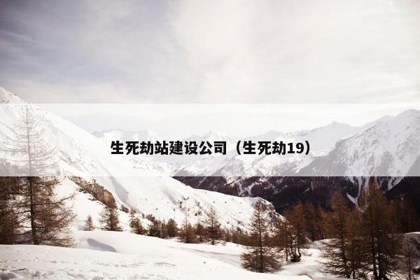 生死劫站建设公司（生死劫19）