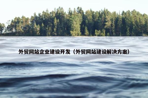 外贸网站企业建设开发（外贸网站建设解决方案）