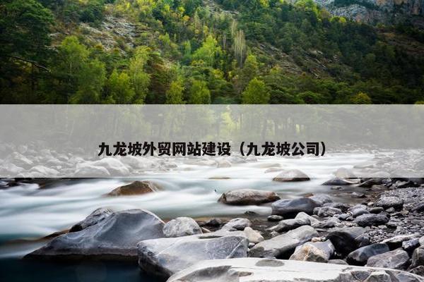 九龙坡外贸网站建设（九龙坡公司）