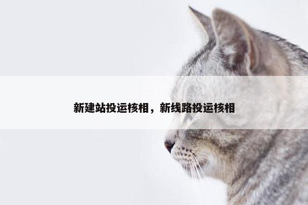 新建站投运核相，新线路投运核相