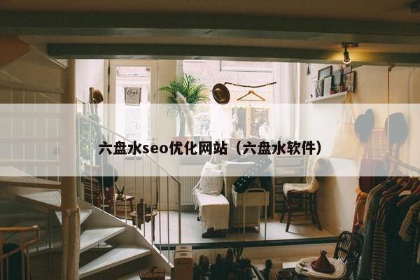 六盘水seo优化网站（六盘水软件）