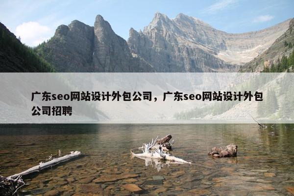 广东seo网站设计外包公司，广东seo网站设计外包公司招聘