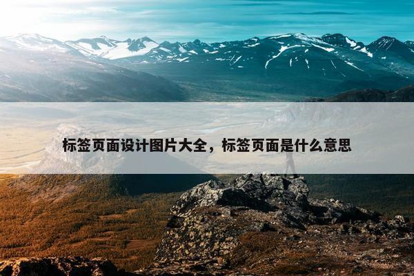 标签页面设计图片大全，标签页面是什么意思