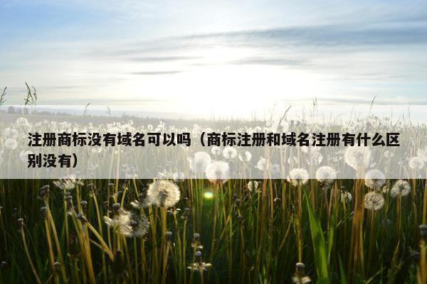 注册商标没有域名可以吗（商标注册和域名注册有什么区别没有）