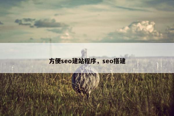方便seo建站程序，seo搭建