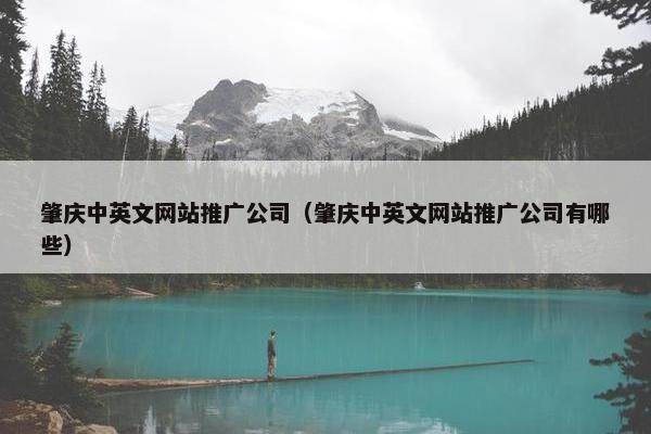 肇庆中英文网站推广公司（肇庆中英文网站推广公司有哪些）