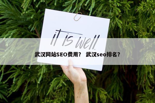 武汉网站SEO费用？ 武汉seo排名？
