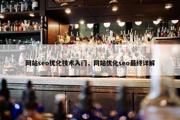 网站seo优化技术入门，网站优化seo最终详解