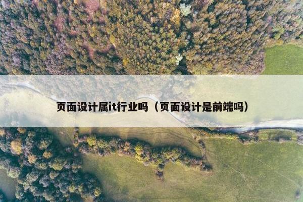 页面设计属it行业吗（页面设计是前端吗）