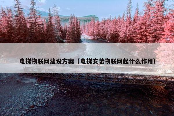 电梯物联网建设方案（电梯安装物联网起什么作用）