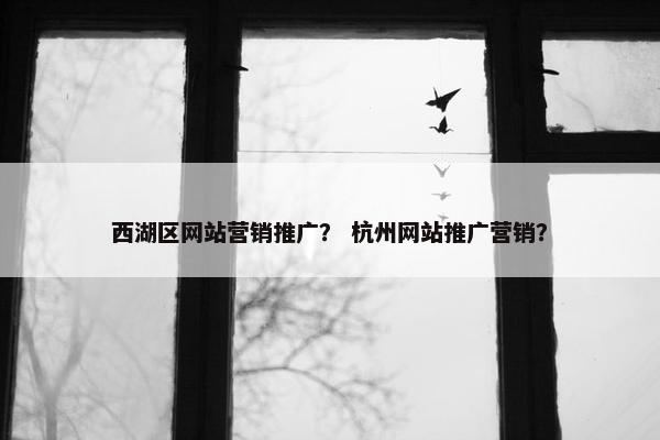 西湖区网站营销推广？ 杭州网站推广营销？