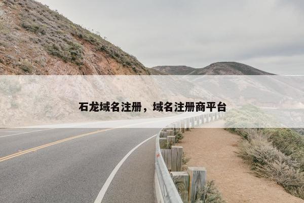 石龙域名注册，域名注册商平台