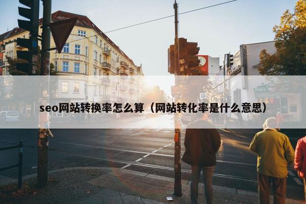 seo网站转换率怎么算（网站转化率是什么意思）