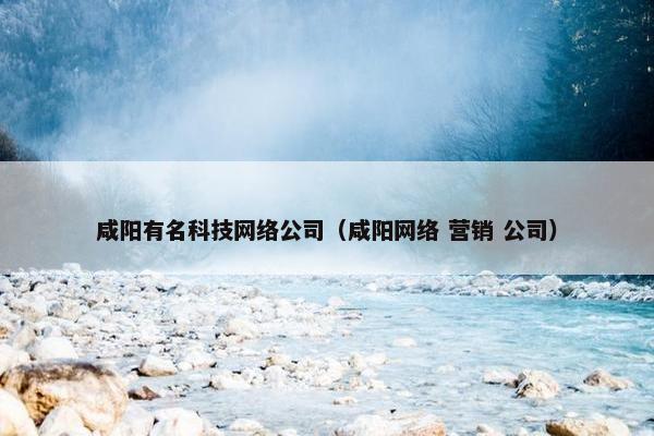咸阳有名科技网络公司（咸阳网络 营销 公司）