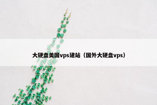 大硬盘美国vps建站（国外大硬盘vps）