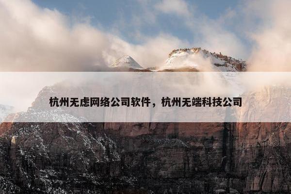杭州无虑网络公司软件，杭州无端科技公司