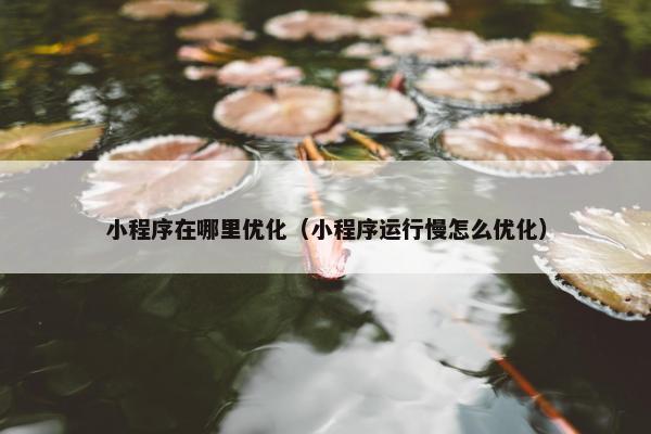 小程序在哪里优化（小程序运行慢怎么优化）