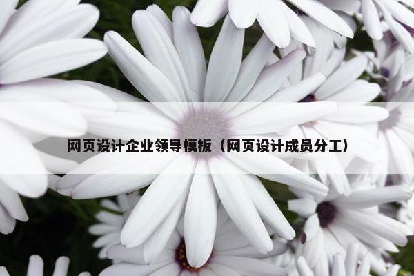 网页设计企业领导模板（网页设计成员分工）