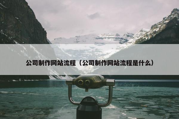 公司制作网站流程（公司制作网站流程是什么）