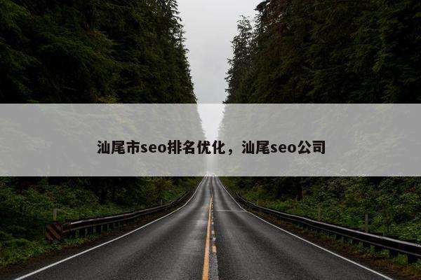 汕尾市seo排名优化，汕尾seo公司