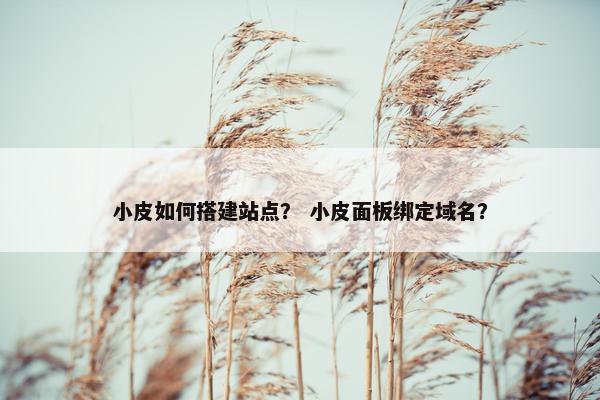 小皮如何搭建站点？ 小皮面板绑定域名？