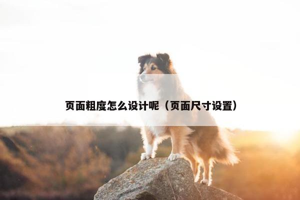 页面粗度怎么设计呢（页面尺寸设置）