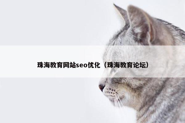 珠海教育网站seo优化（珠海教育论坛）