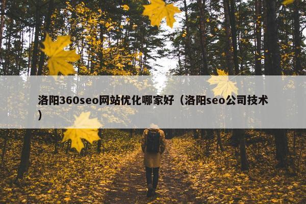 洛阳360seo网站优化哪家好（洛阳seo公司技术）