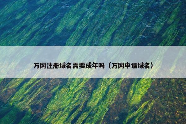 万网注册域名需要成年吗（万网申请域名）