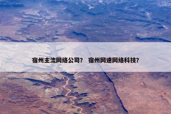 宿州主流网络公司？ 宿州网速网络科技？
