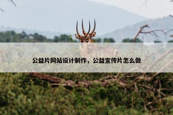 公益片网站设计制作，公益宣传片怎么做