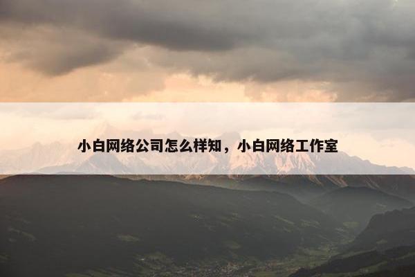 小白网络公司怎么样知，小白网络工作室
