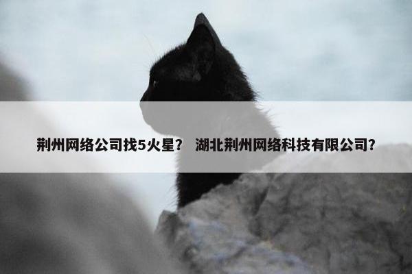 荆州网络公司找5火星？ 湖北荆州网络科技有限公司？
