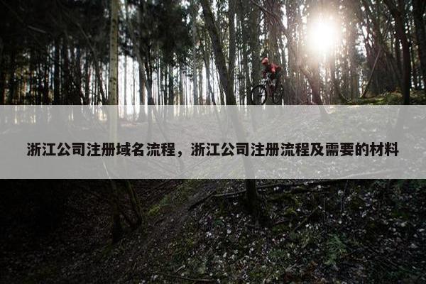 浙江公司注册域名流程，浙江公司注册流程及需要的材料