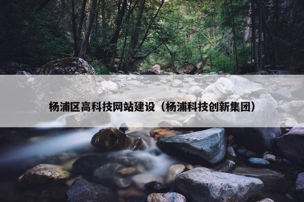 杨浦区高科技网站建设（杨浦科技创新集团）
