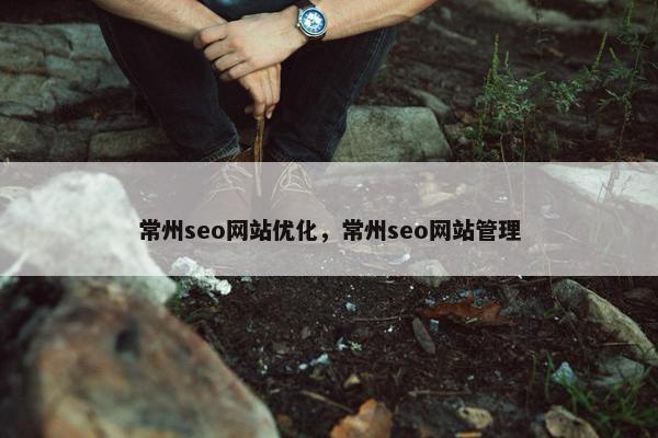 常州seo网站优化，常州seo网站管理
