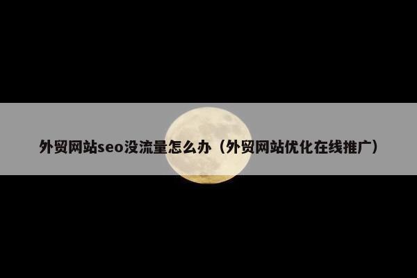 外贸网站seo没流量怎么办（外贸网站优化在线推广）