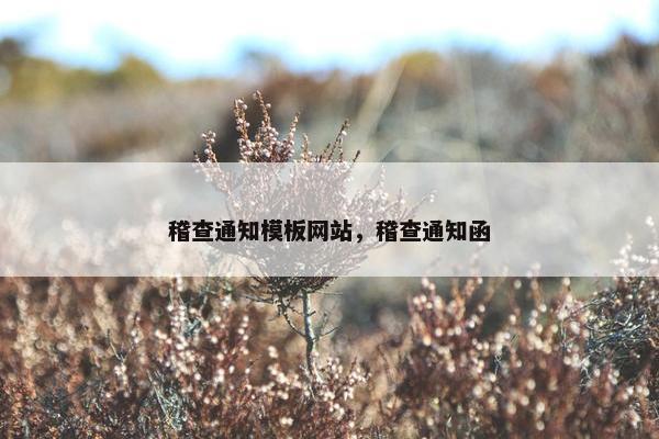 稽查通知模板网站，稽查通知函