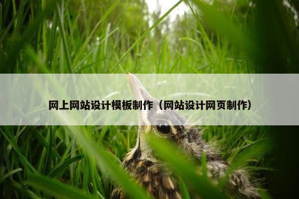 网上网站设计模板制作（网站设计网页制作）