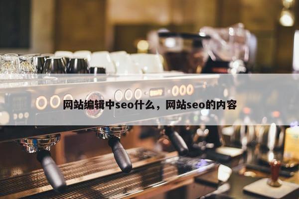 网站编辑中seo什么，网站seo的内容