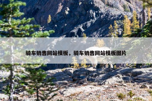 骑车销售网站模板，骑车销售网站模板图片