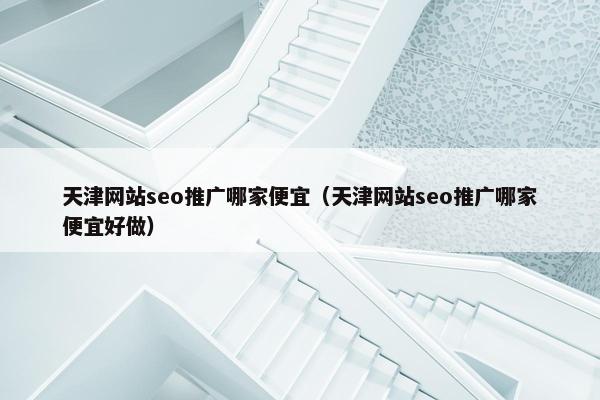 天津网站seo推广哪家便宜（天津网站seo推广哪家便宜好做）